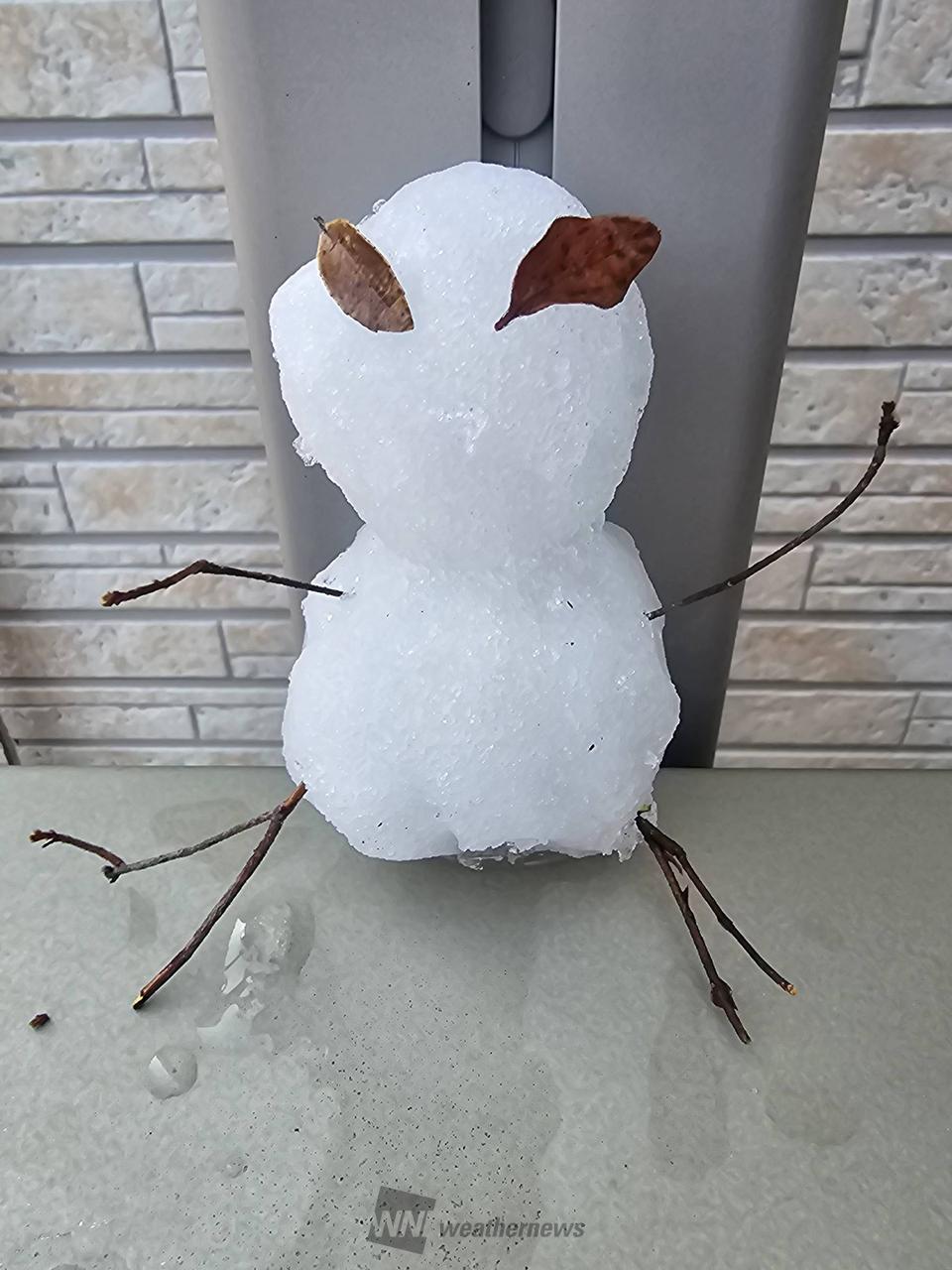 みんなの雪だるま⛄️ 注目の空の写真 ウェザーニュース