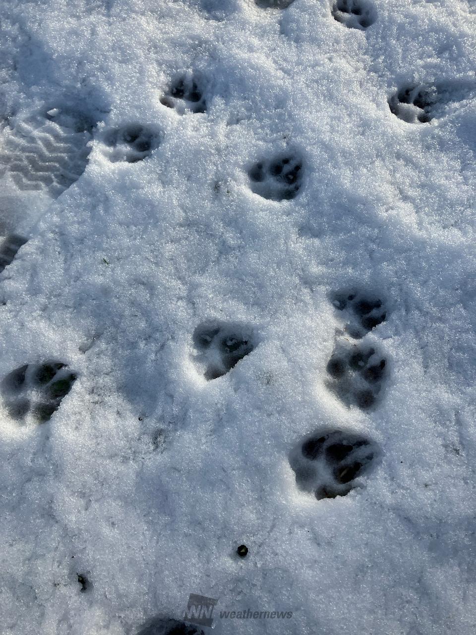 関東南部の雨雪の状況 注目の空の写真 ウェザーニュース