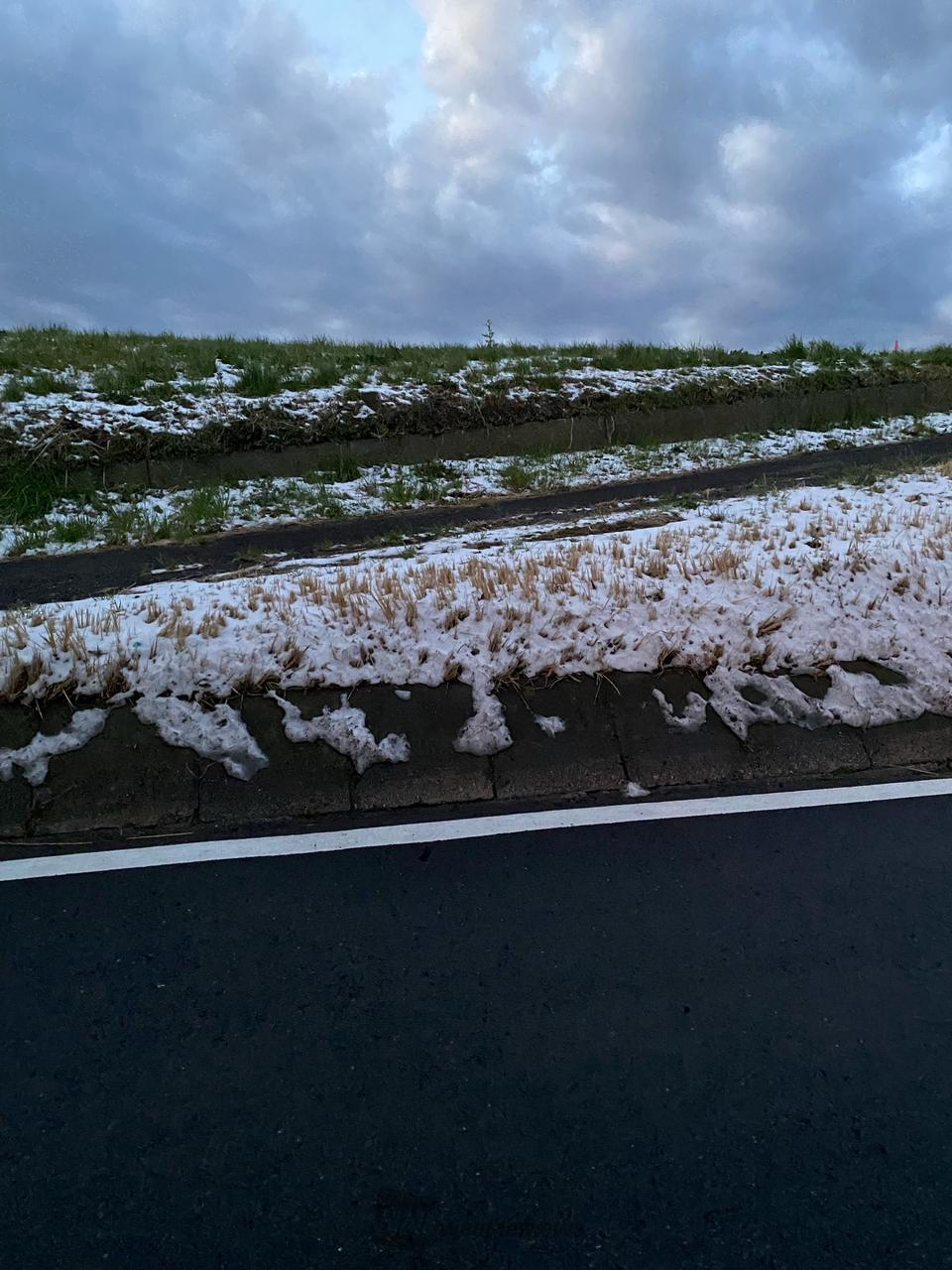 稲敷 市 の 天気