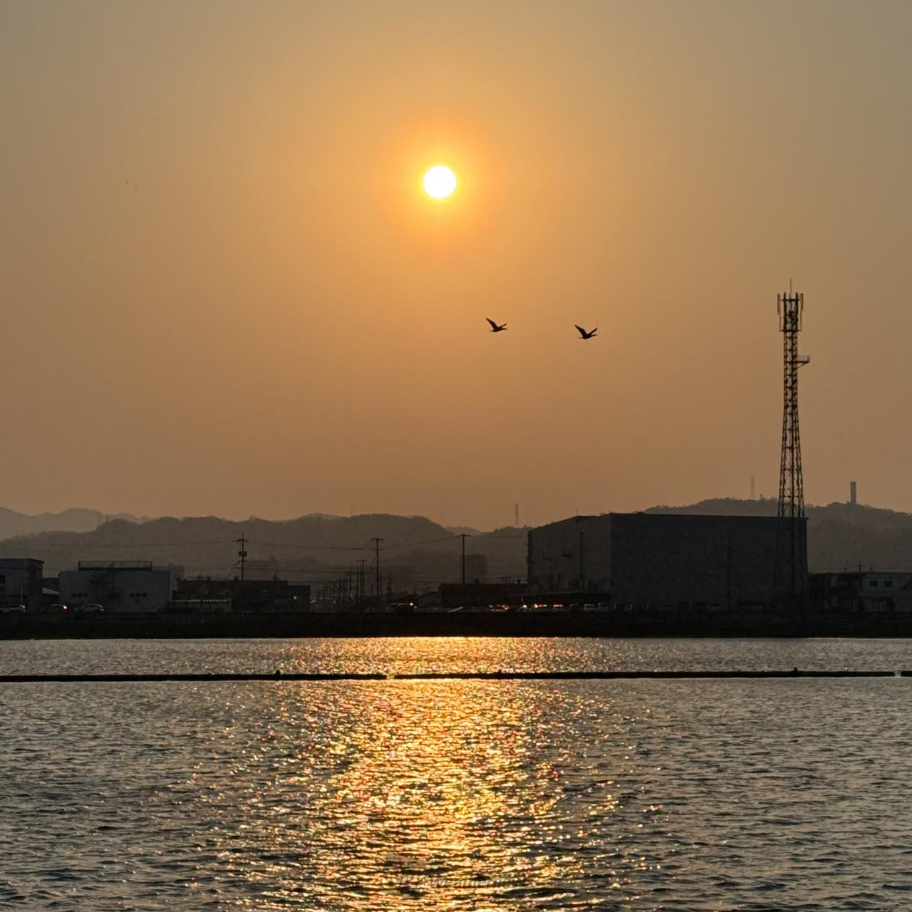 夕日・夕焼け写真館 注目の空の写真 ウェザーニュース