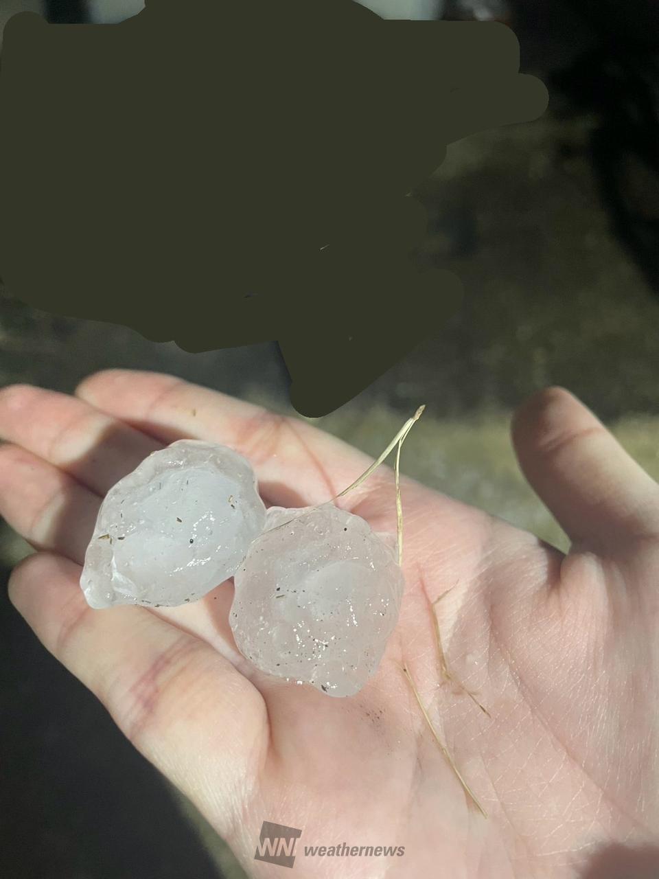 10分くらい前はびっくりでした 雹がガン | 愛知県東海市 | 愛知県東海