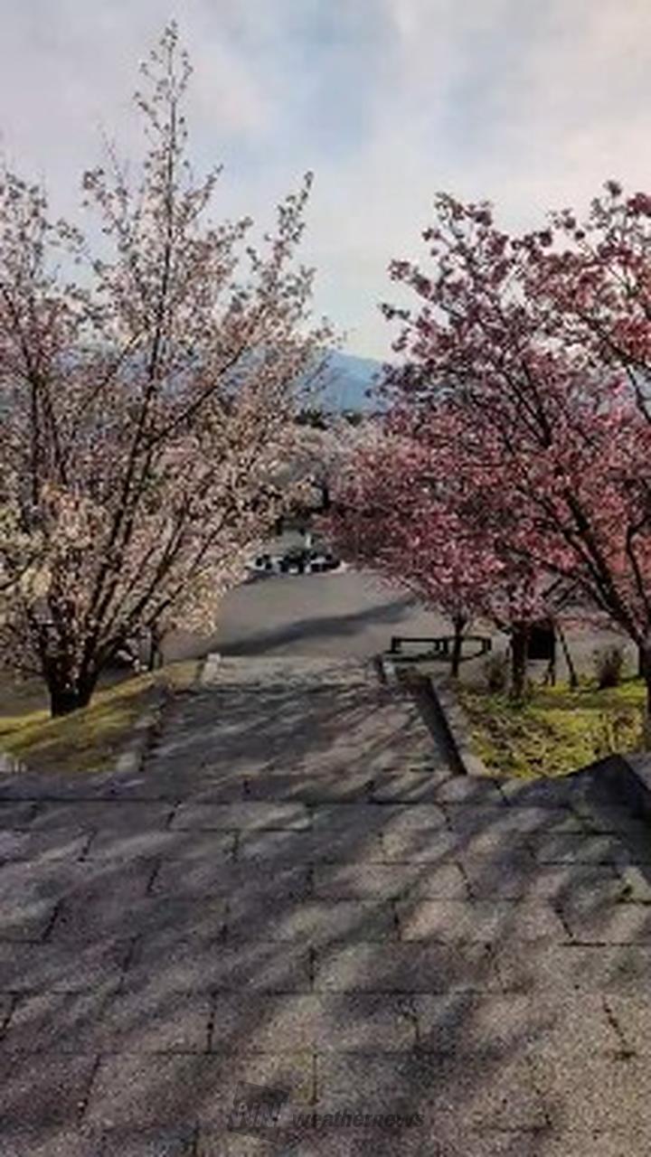 🌸ベストショット賞🏆 注目の空の写真 ウェザーニュース