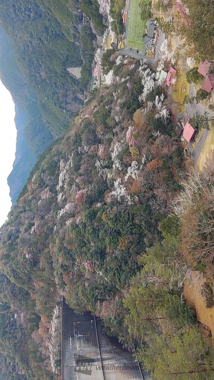 下北山スポーツ公園...
