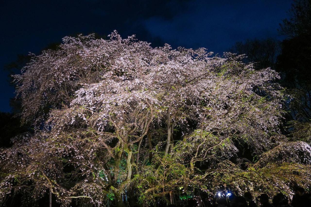 昨夜まで行われてい...
