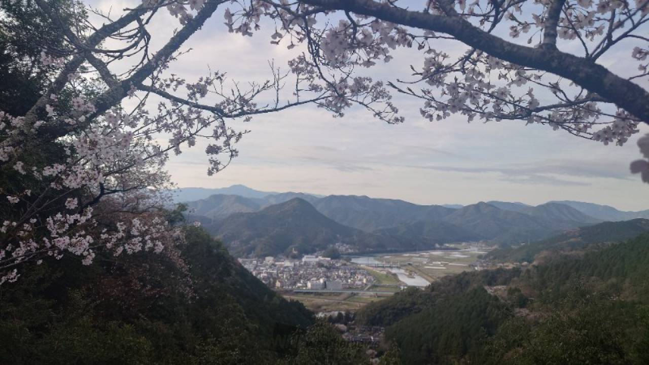 すごくきれいだった...