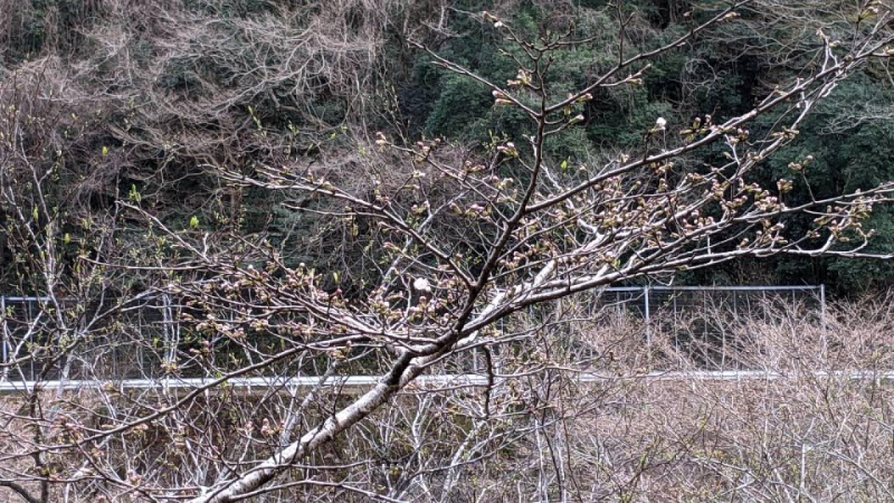 年間通して楽しめま...