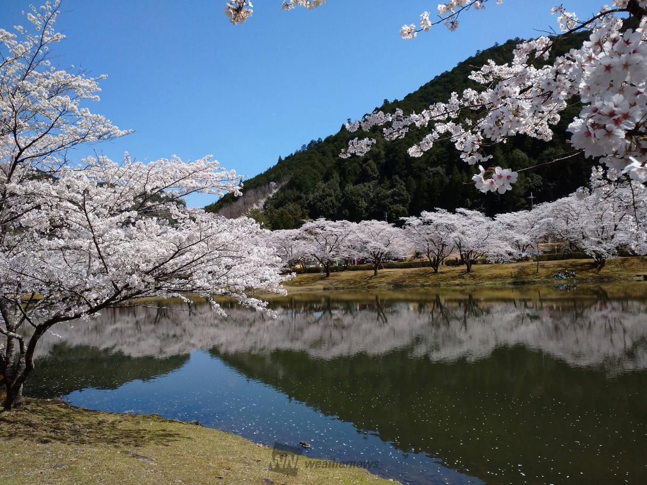 思った以上に早くも...