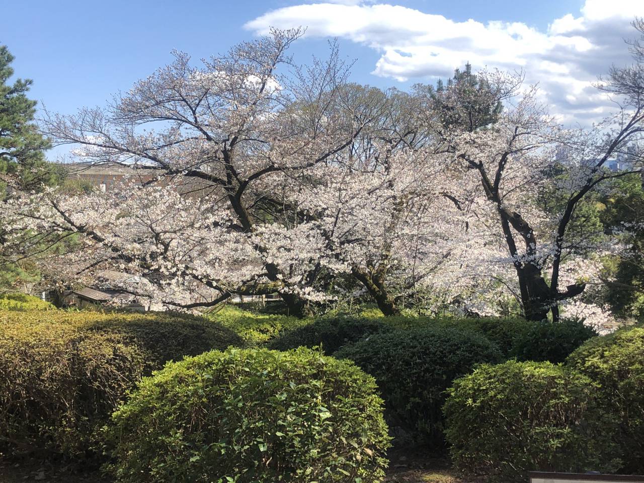 中野区哲学堂公園：...