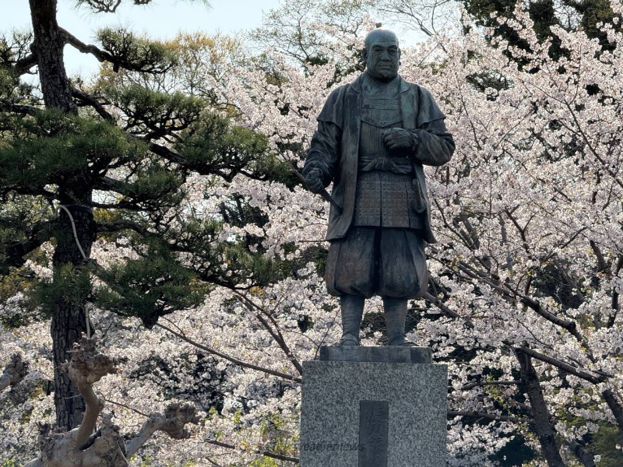 若年の元康も、三方...