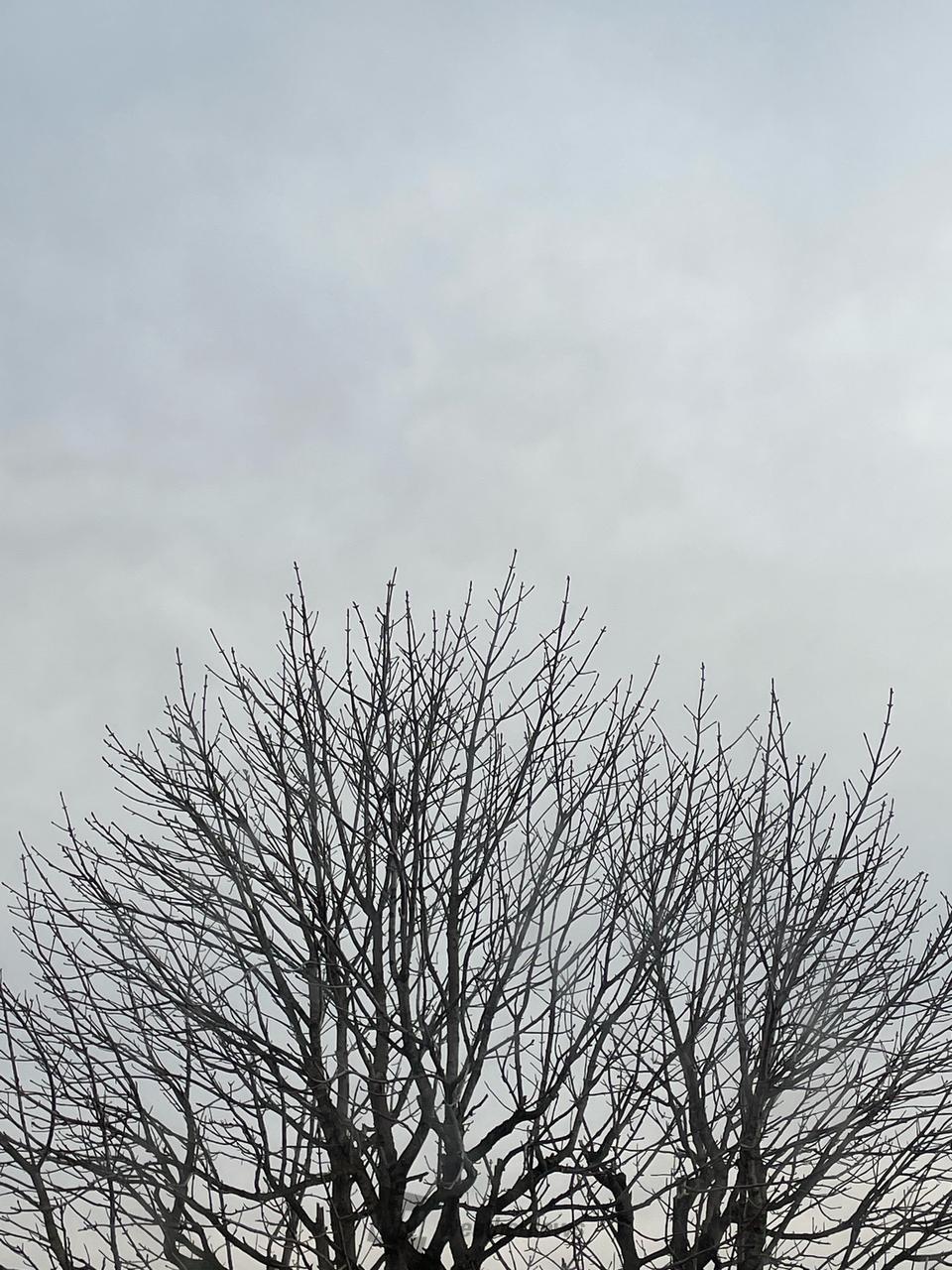 おはようございます...