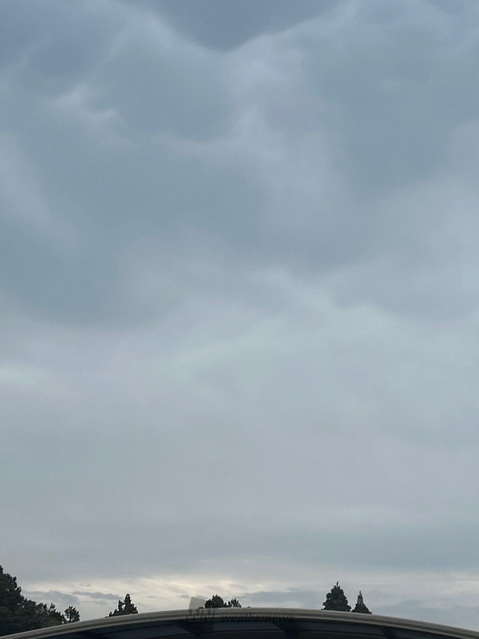 おはようございます...