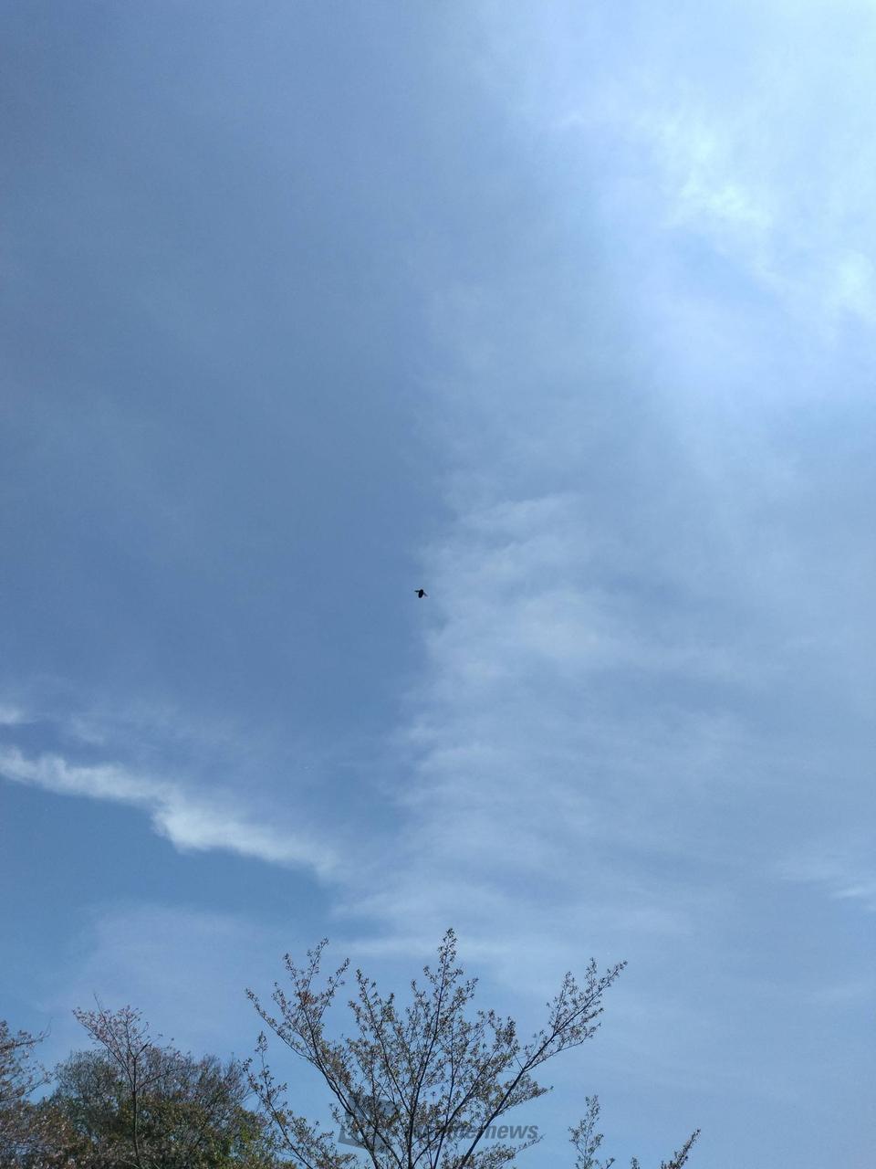 汗ばむ陽気となって...