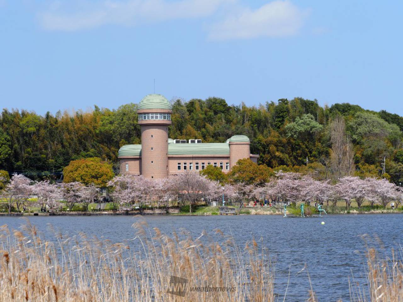 対岸から見てみまし...