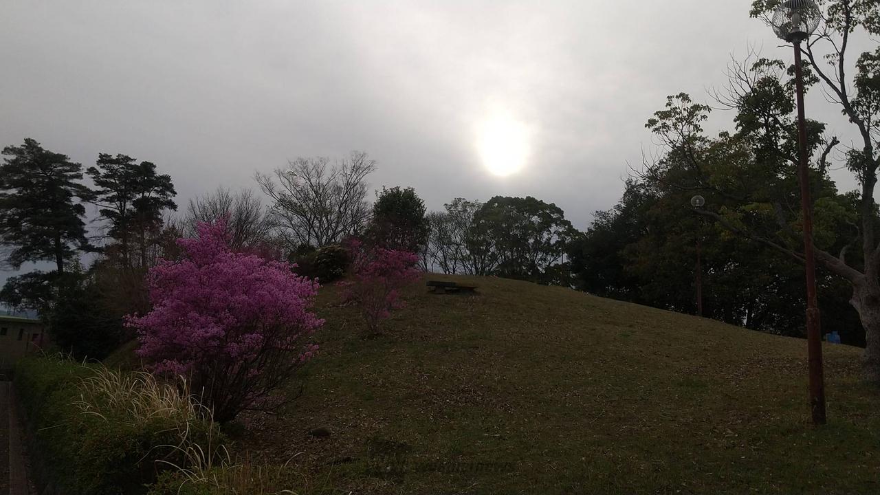 だいぶ曇⛅️ってき...