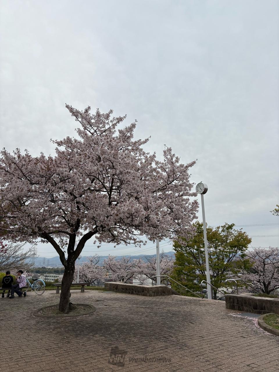 夕方になると曇り空...