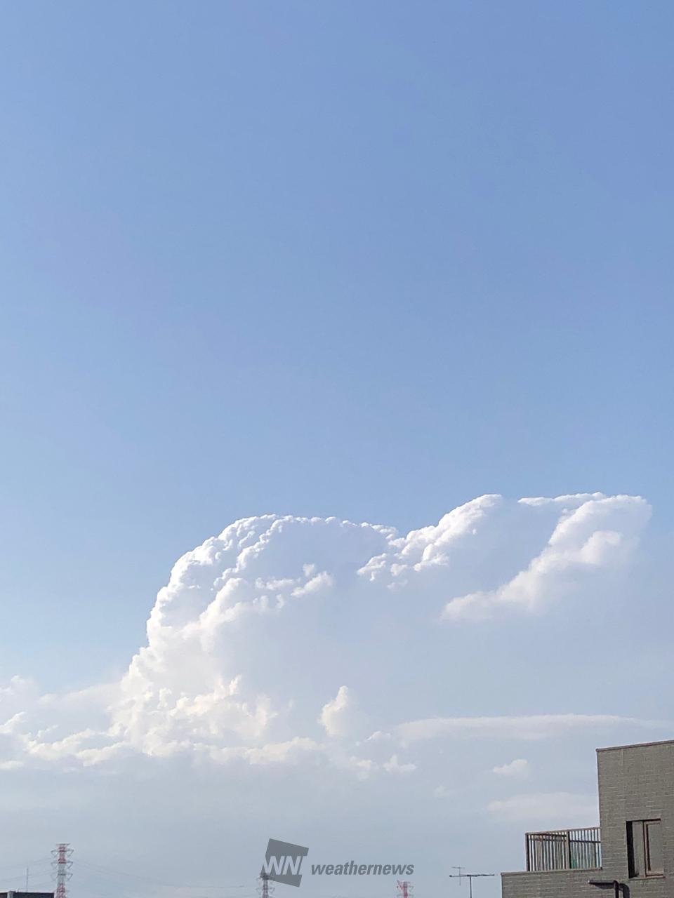 怪しい雲を追跡 注目の空の写真 ウェザーニュース