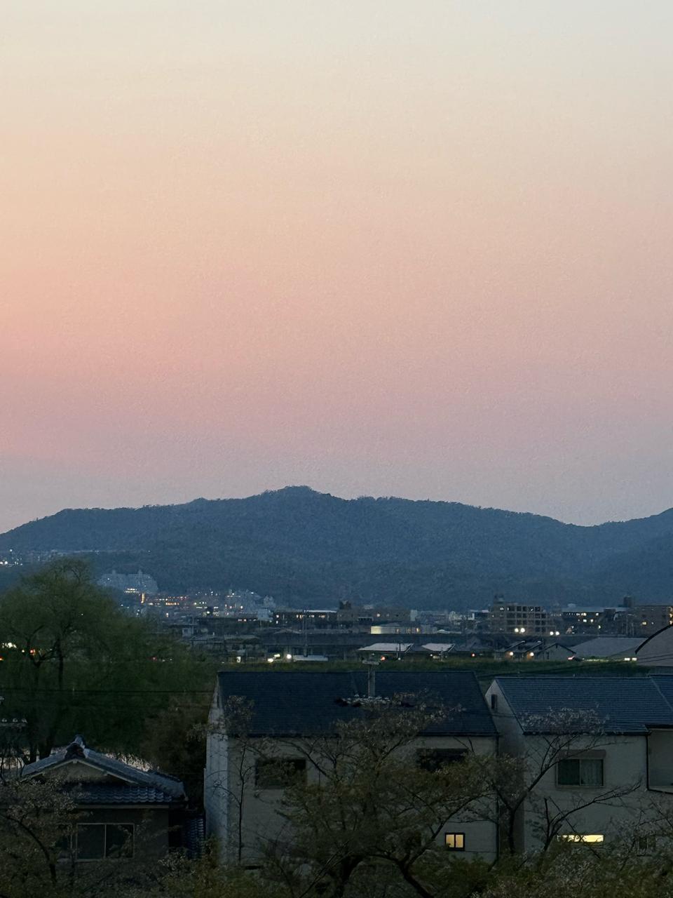 こんばんは。今日...