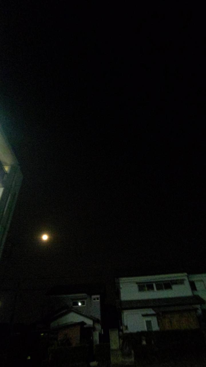 おはようございます...