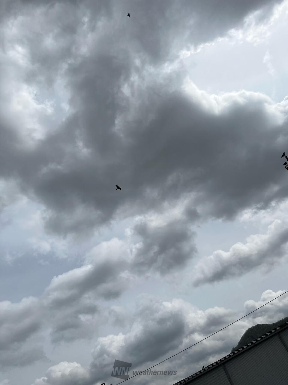 少し蒸し暑い💦