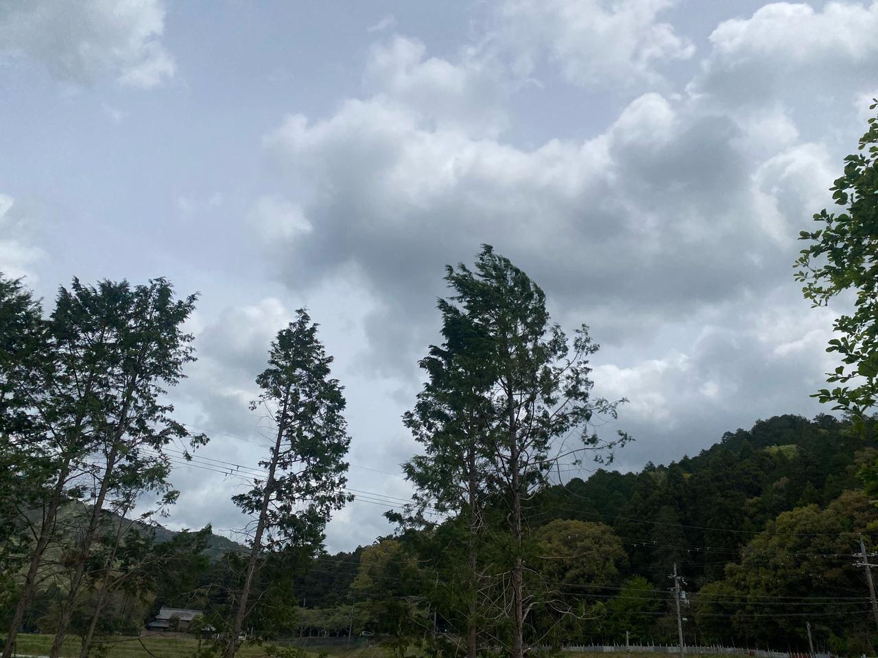 春の嵐の予感がしま...