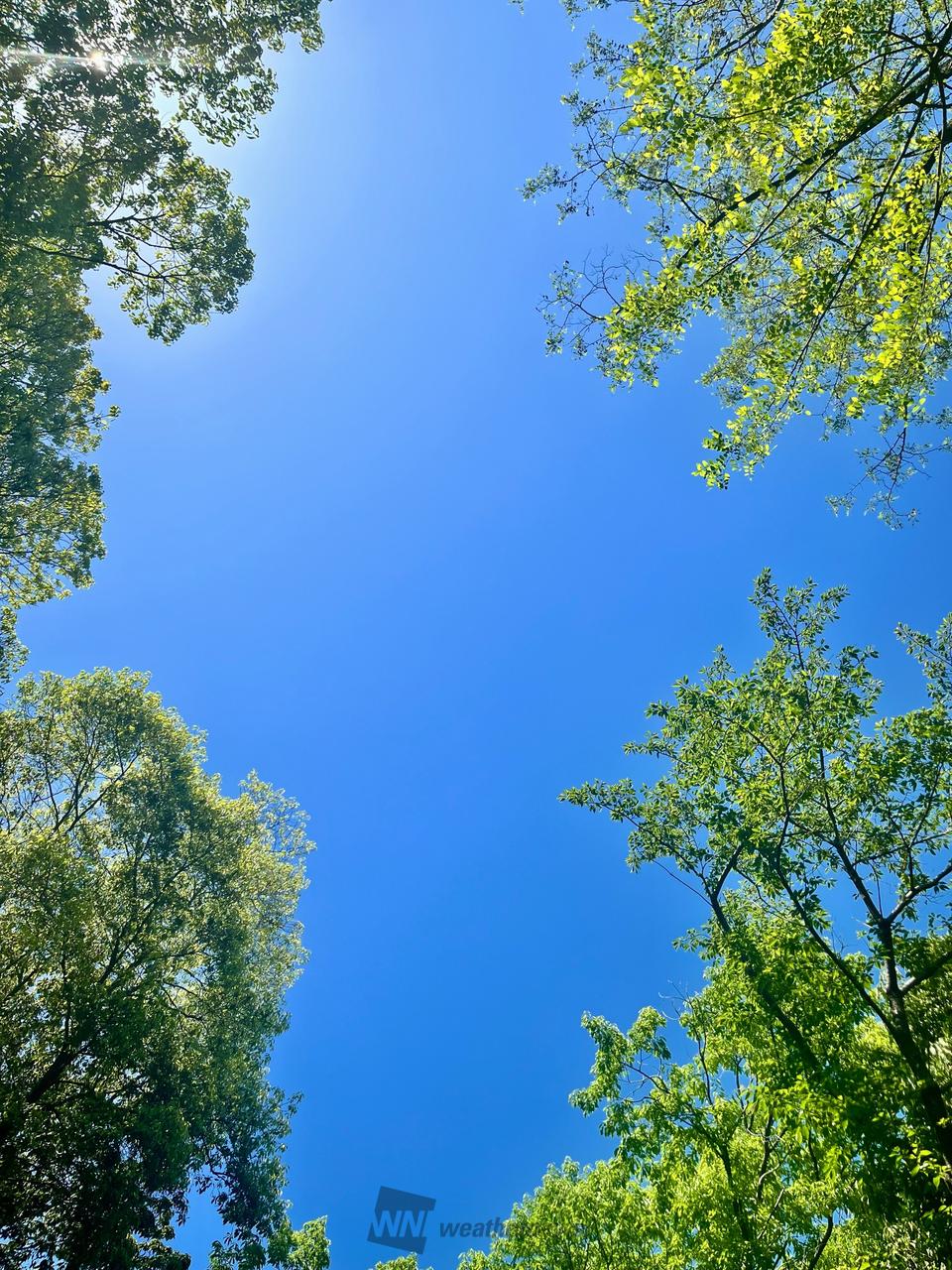 すっきり青空 注目の空の写真 ウェザーニュース
