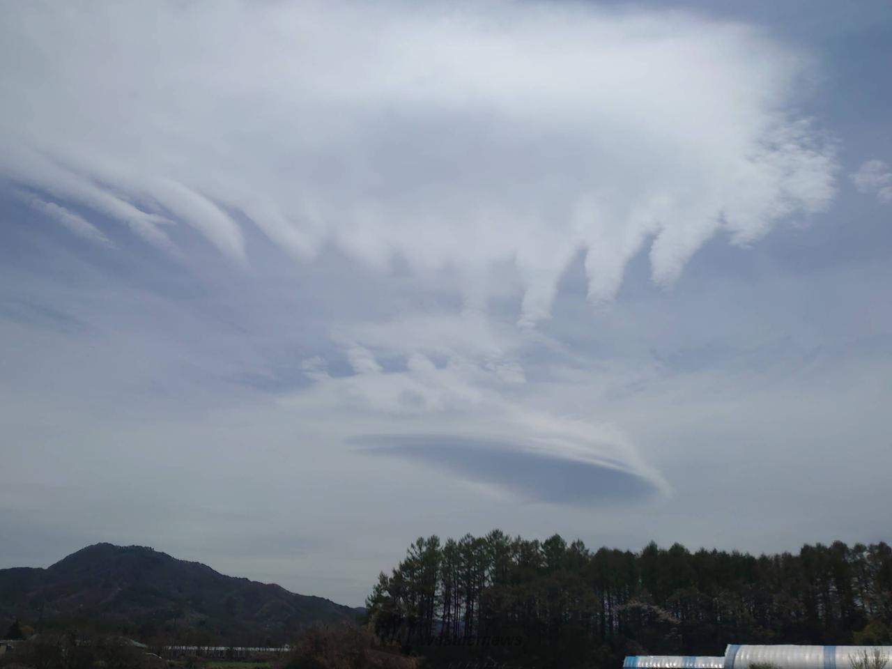 面白い雲の形 注目の空の写真 ウェザーニュース