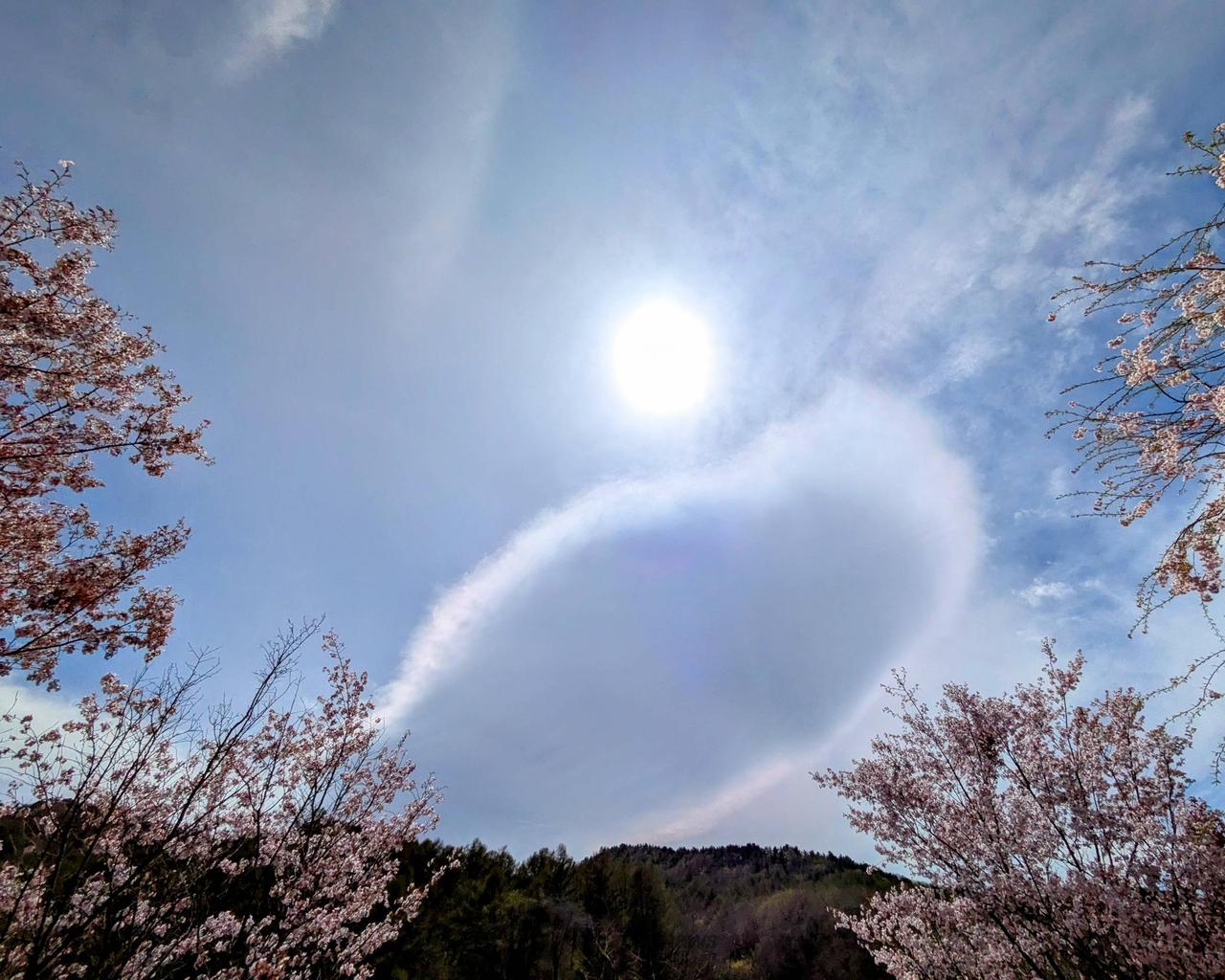 面白い雲の形 注目の空の写真 ウェザーニュース