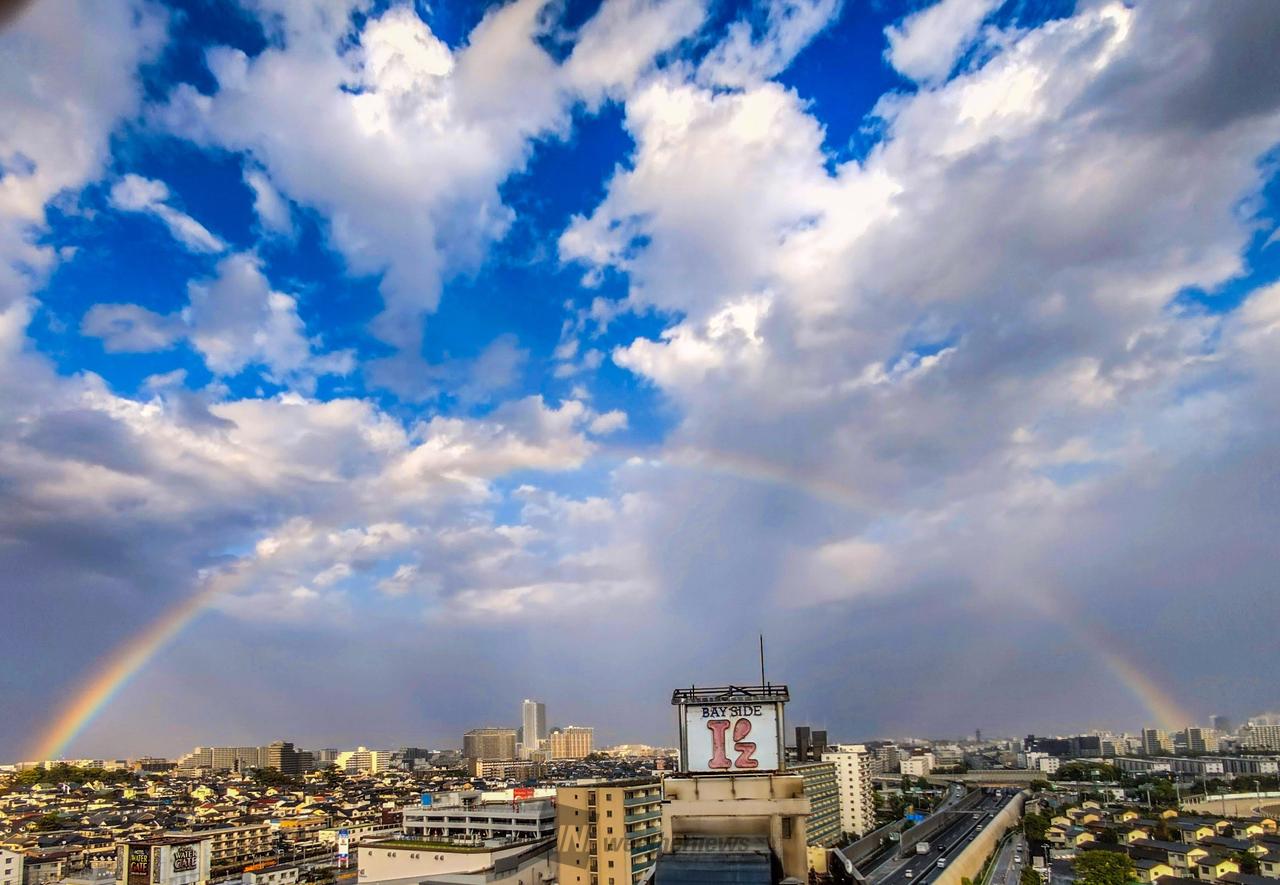 天上の虹 Z/X -Zillions of enemy X- NF DramaCD ⑮ 「ニグたんの呼び声」 | CD