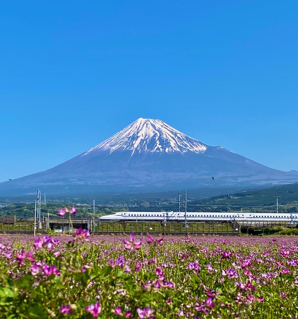 気持ちよい青空です...
