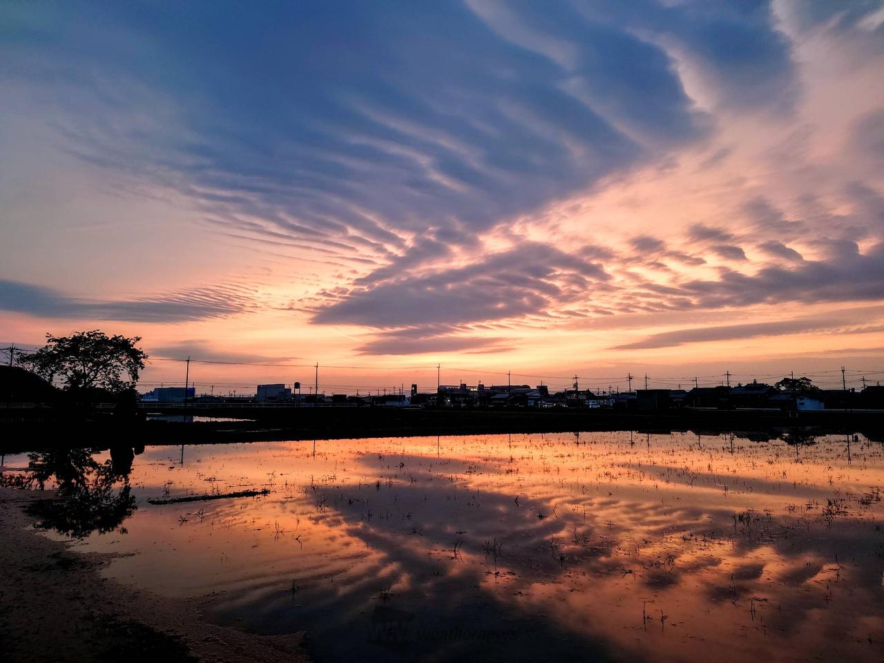写真家 Hynek Martinec  プラハの夕方 午後の光がずっと引き延ばされたような、ヨーロッパの夏