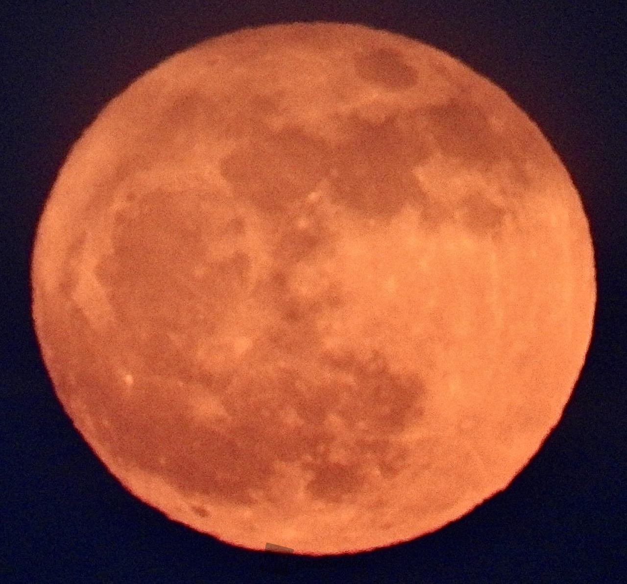 満月 指先サイズの資産」純度99.9％の“純金の満月”。金の日・3日間