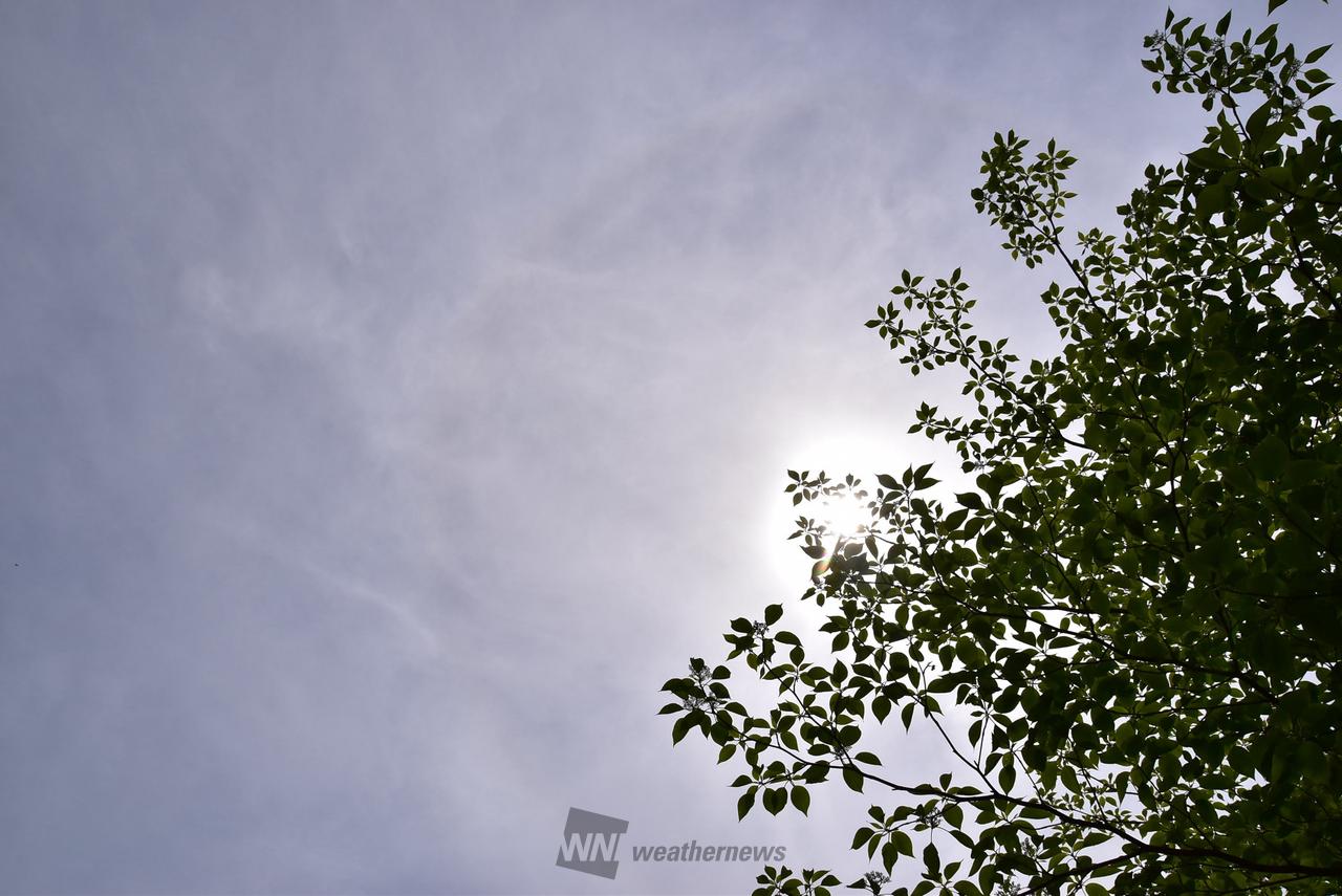 薄曇りハロもう...