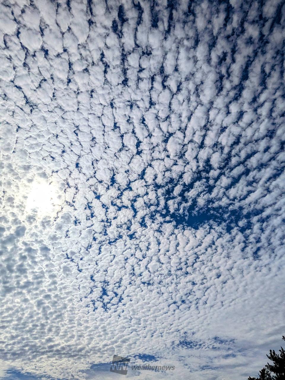 西からもこもこな雲 注目の空の写真 ウェザーニュース
