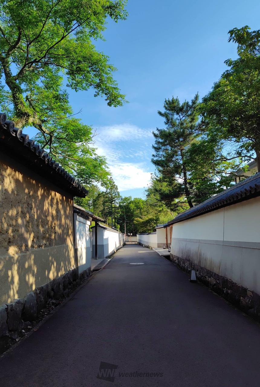 おはようございます...