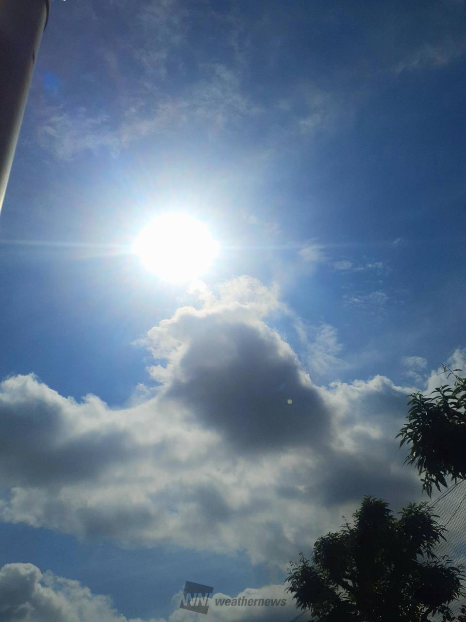 気温27.3℃湿度...