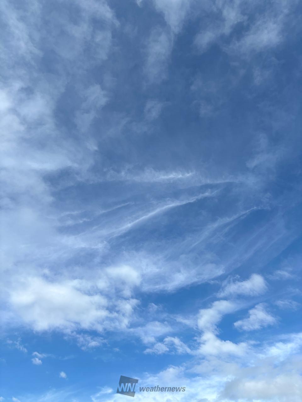 おはようございます...