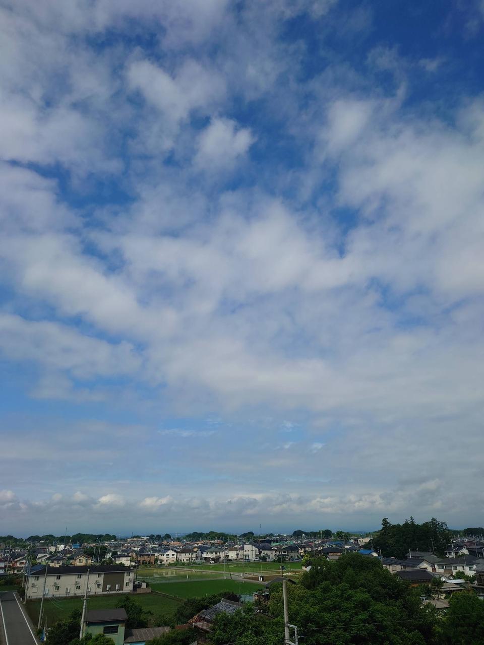 おはようございます...