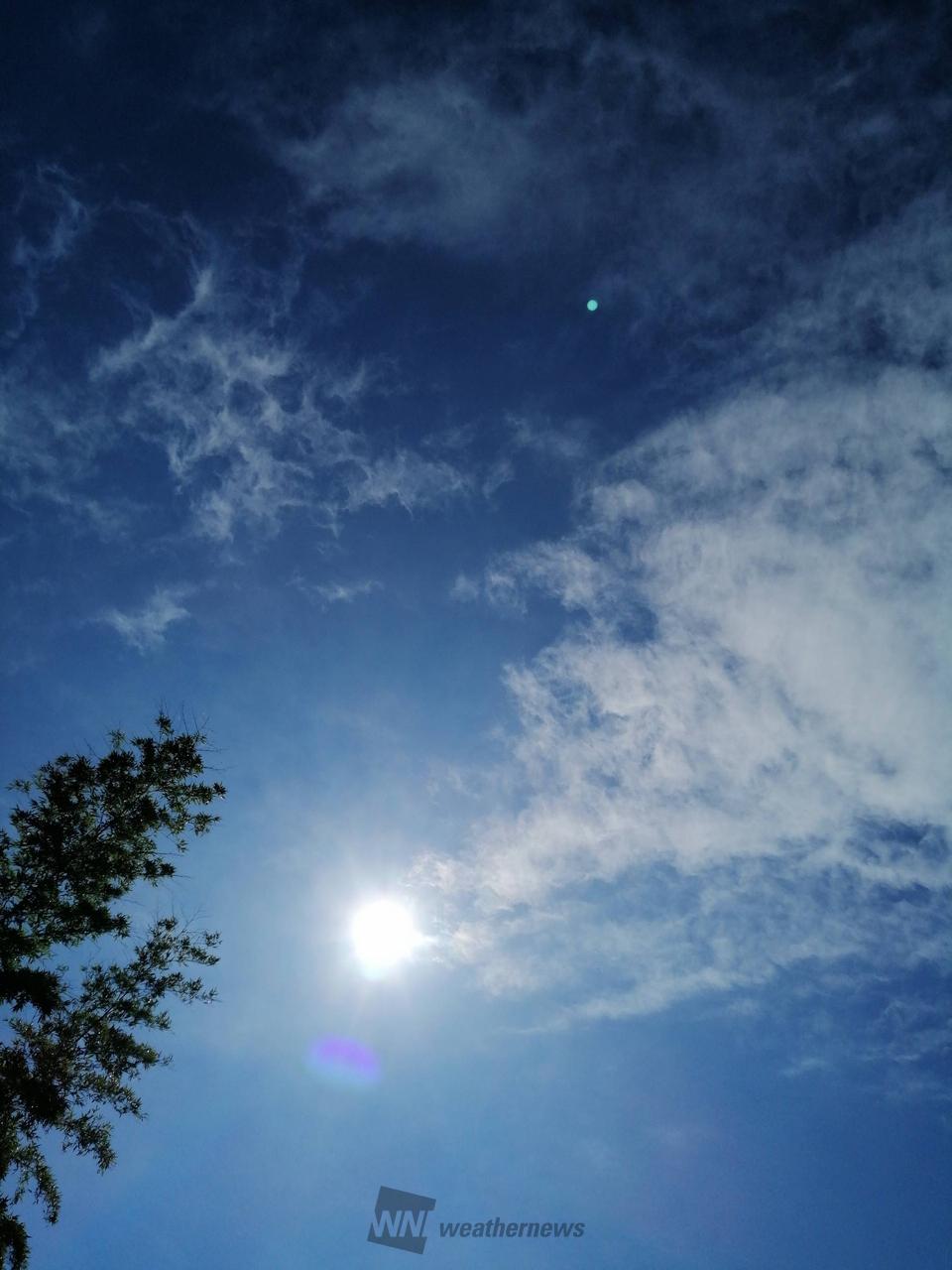 照りつける日差し☀...