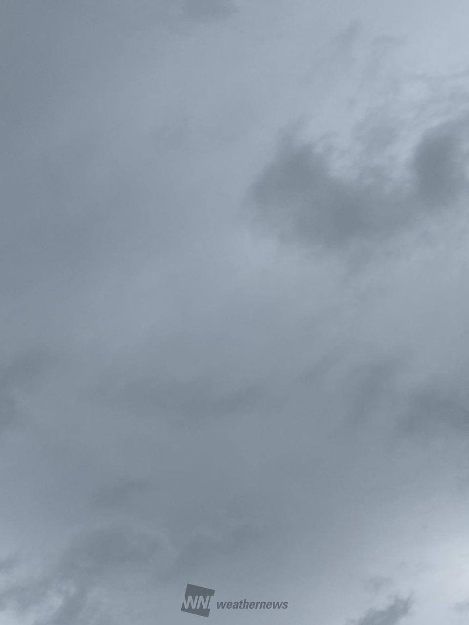 白い雲が広がってい...