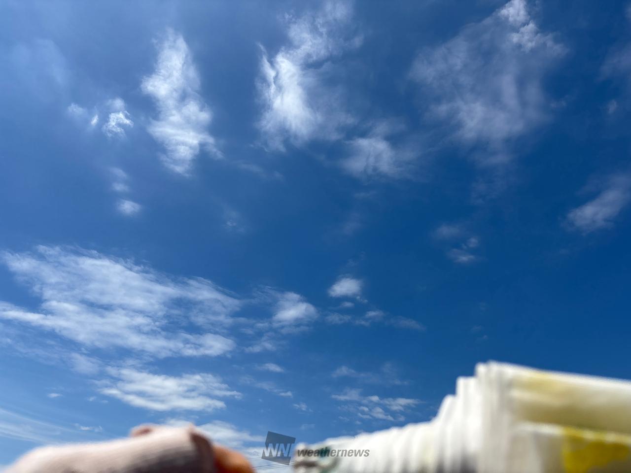 青空に白い雲🟦🤍...