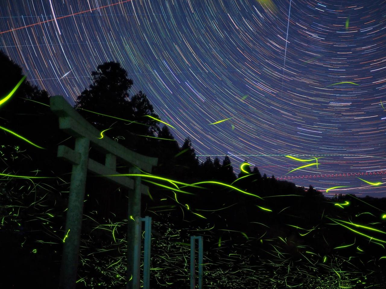 ほたる絶景写真館 注目の空の写真 ウェザーニュース