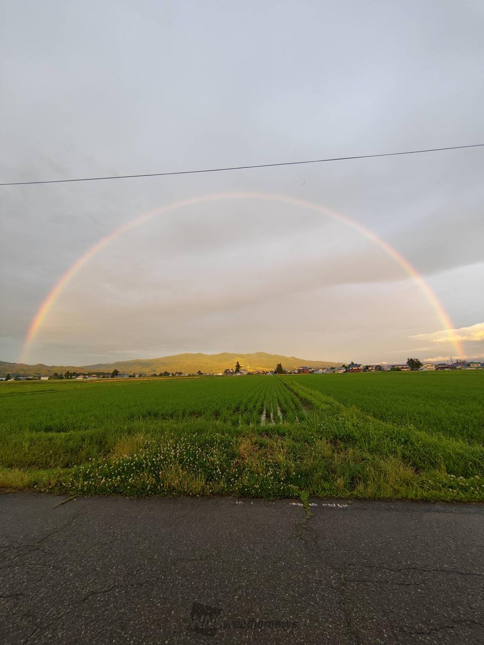 夕空に架かる虹 注目の空の写真 ウェザーニュース