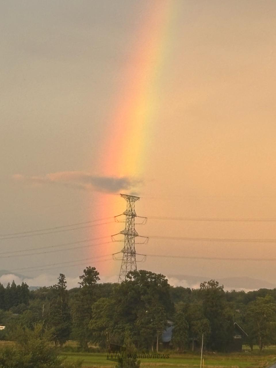 夕空に架かる虹 注目の空の写真 ウェザーニュース