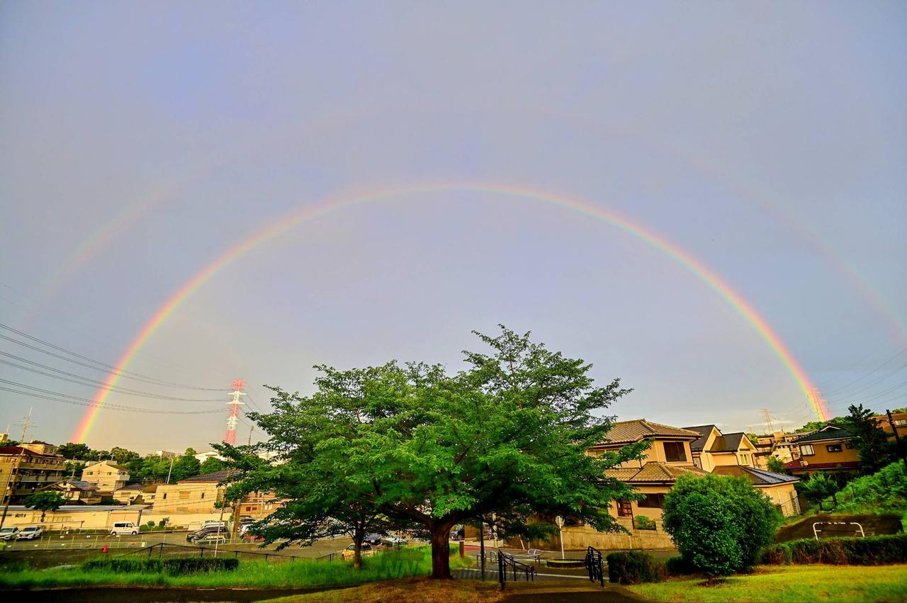 雨上がりの虹 注目の空の写真 ウェザーニュース