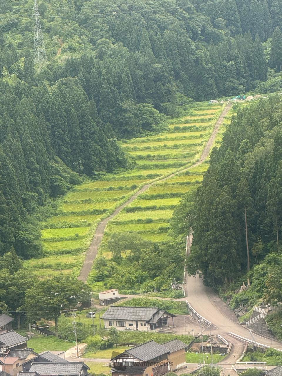 6月の棚田🌾 注目の空の写真 ウェザーニュース
