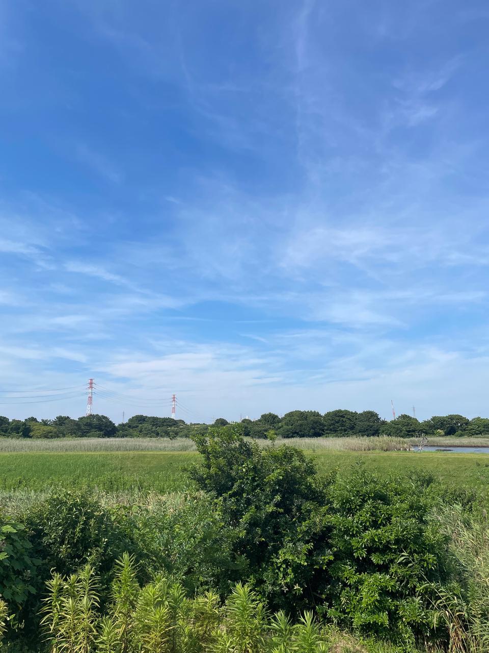 今日 の 天気 市川