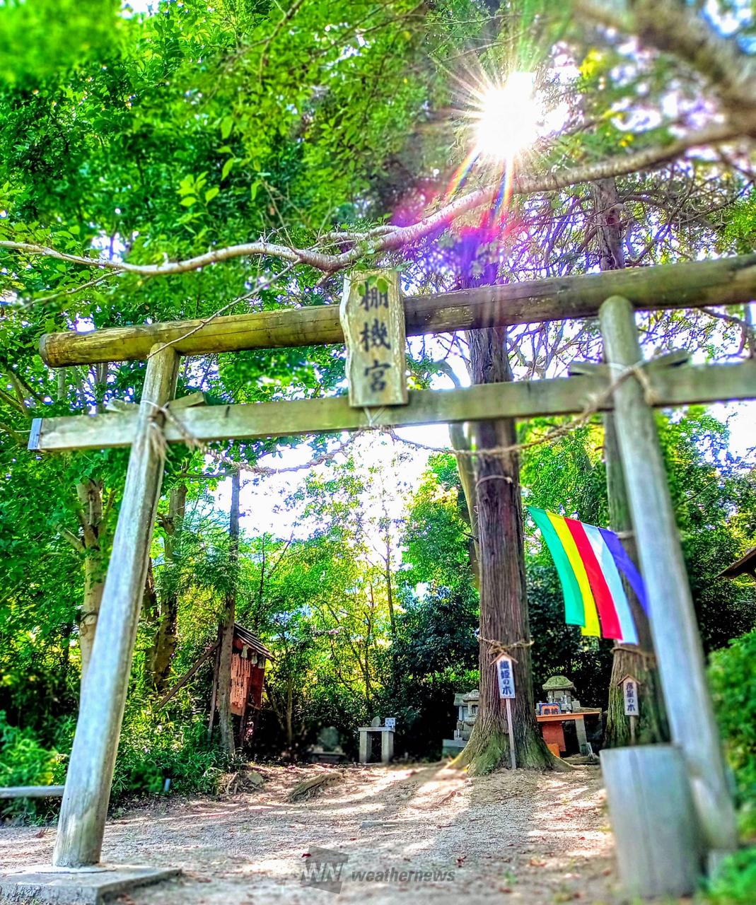 棚機(たなばた)神...