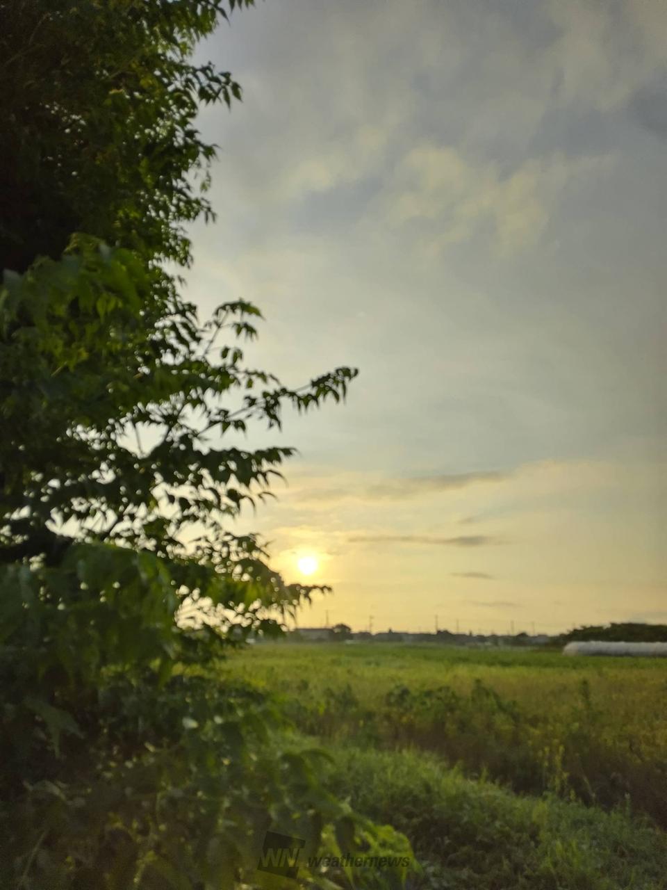 朝日です☀️🏪に...