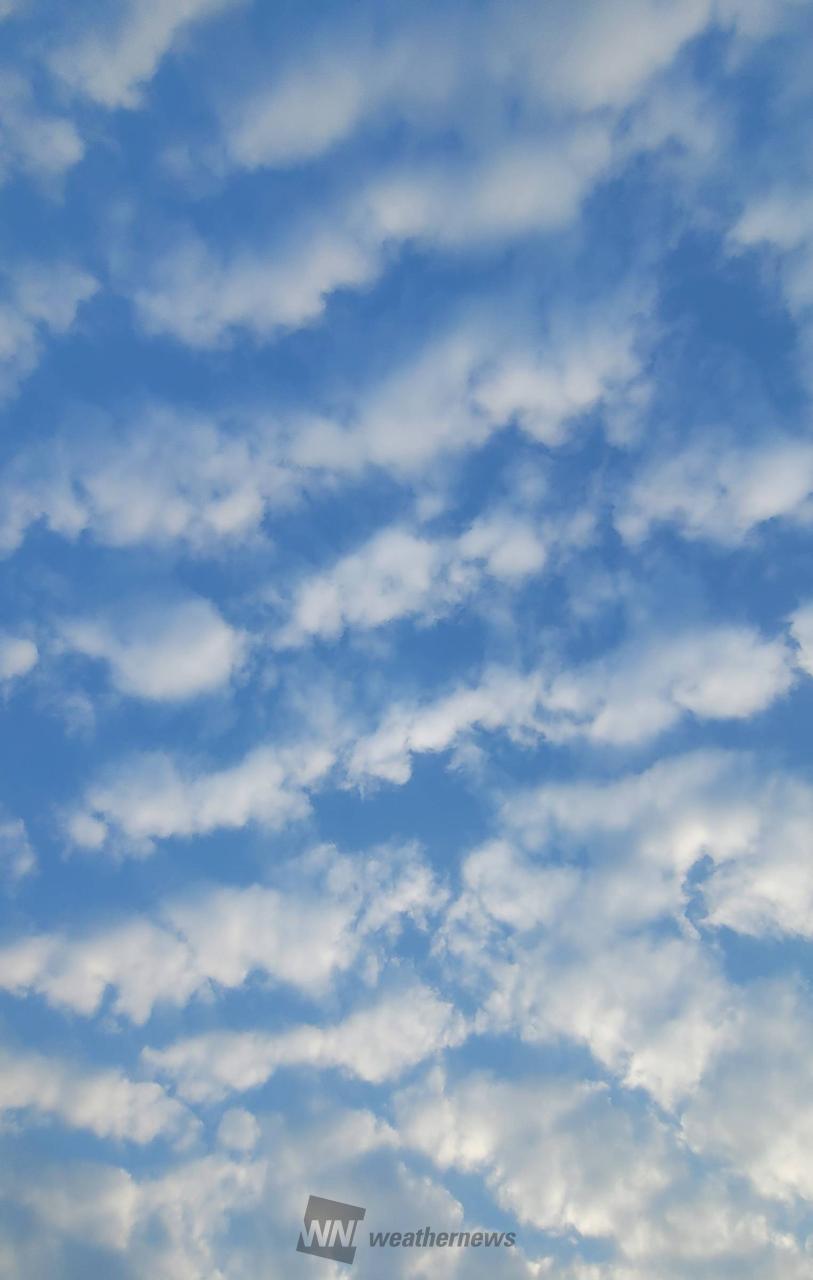 おはようございます...