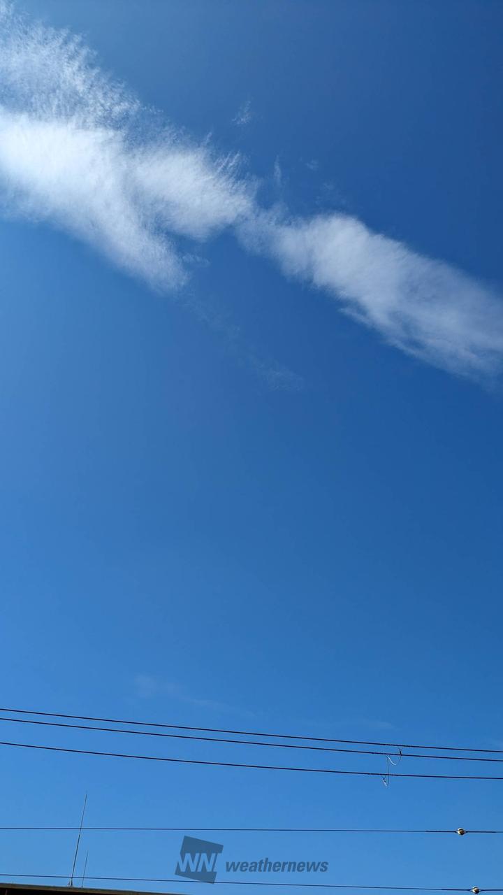 青空が広がる！！ 注目の空の写真 ウェザーニュース